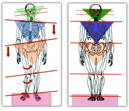 bioattivatori e scompenso